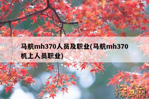 马航mh370人员及职业(马航mh370机上人员职业)