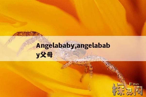 Angelababy,angelababy父母