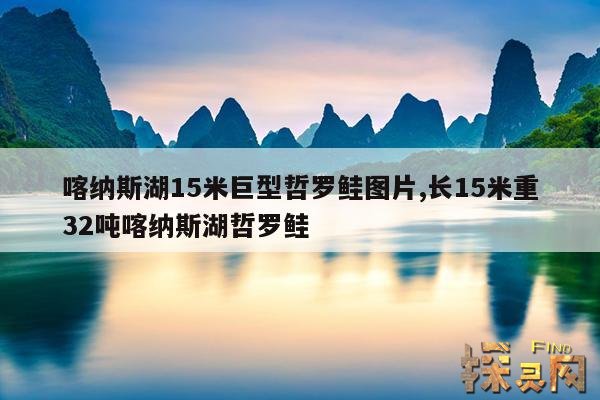 喀纳斯湖15米巨型哲罗鲑图片,长15米重32吨喀纳斯湖哲罗鲑