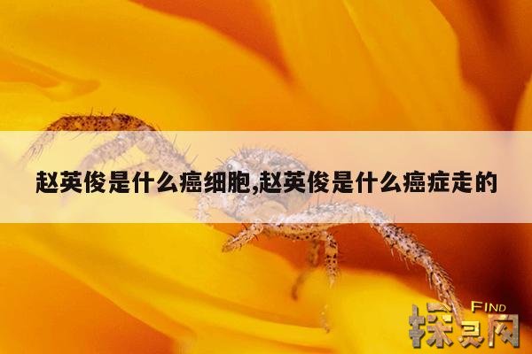 赵英俊是什么癌细胞,赵英俊是什么癌症走的