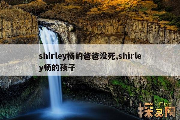 shirley杨的爸爸没死,shirley杨的孩子
