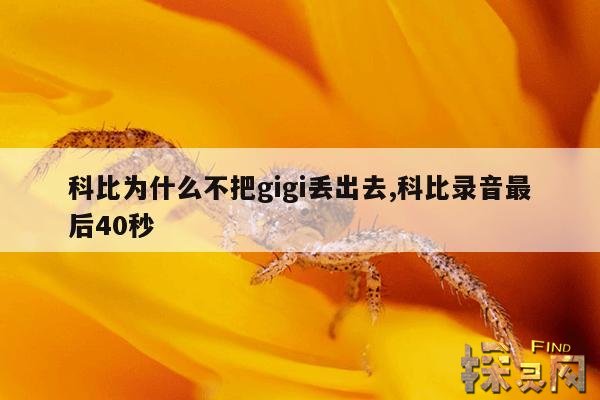 科比为什么不把gigi丢出去,科比录音最后40秒