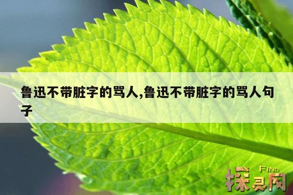 鲁迅不带脏字的骂人,鲁迅不带脏字的骂人句子
