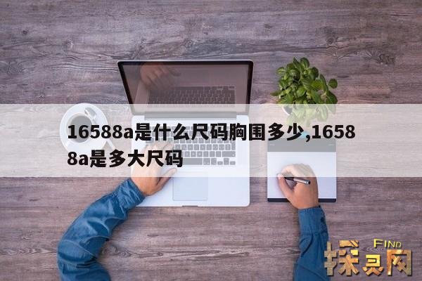 16588a是什么尺码胸围多少,16588a是多大尺码