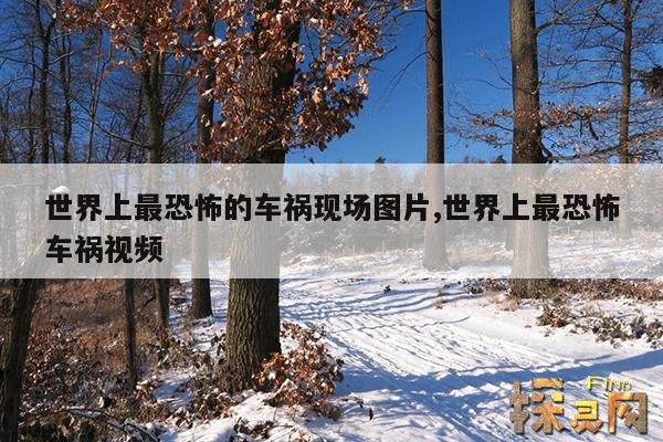 世界上最恐怖的车祸现场图片,世界上最恐怖车祸视频