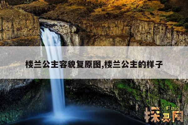 楼兰公主容貌复原图,楼兰公主的样子