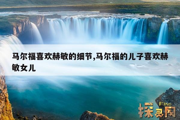 马尔福喜欢赫敏的细节,马尔福的儿子喜欢赫敏女儿