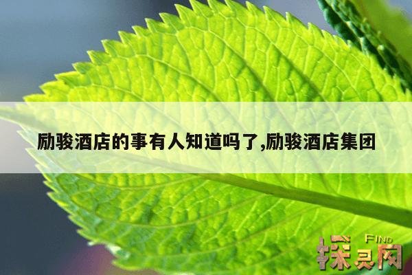 励骏酒店的事有人知道吗了,励骏酒店集团