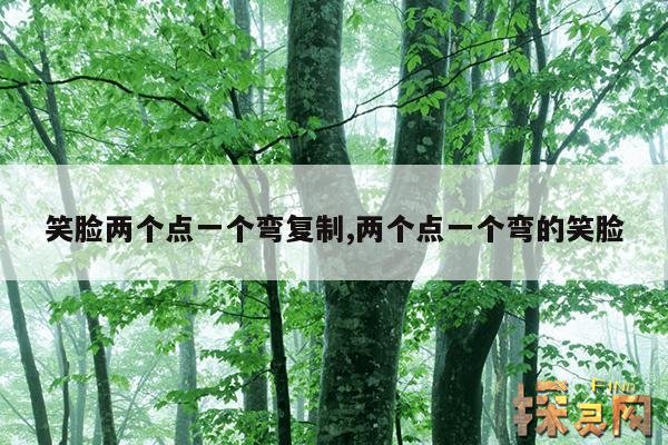 笑脸两个点一个弯复制,两个点一个弯的笑脸