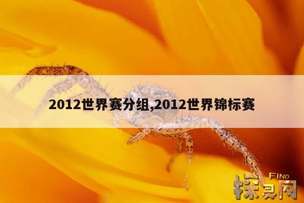 2012世界赛分组,2012世界锦标赛