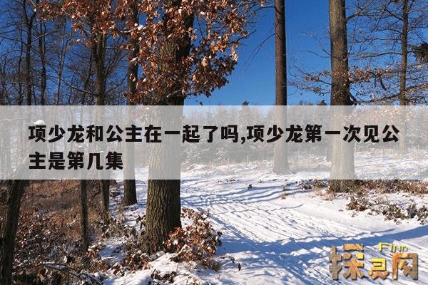 项少龙和公主在一起了吗,项少龙第一次见公主是第几集