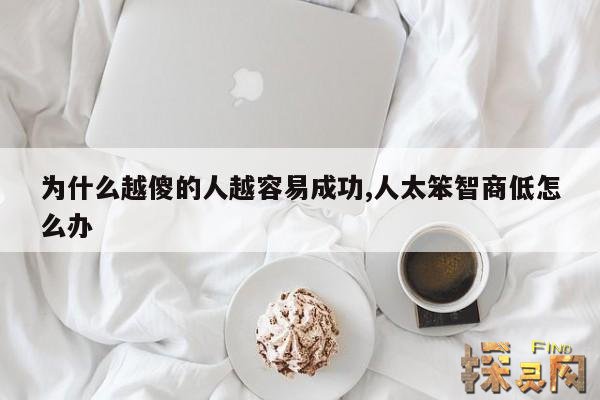 为什么越傻的人越容易成功,人太笨智商低怎么办