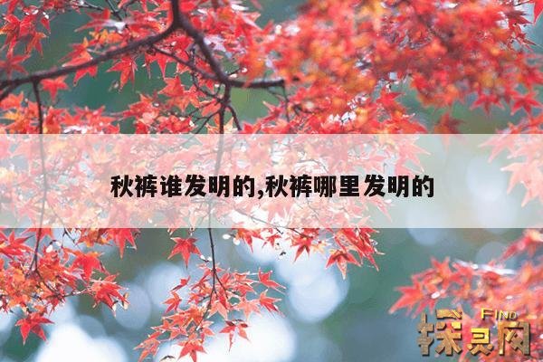 秋裤谁发明的,秋裤哪里发明的