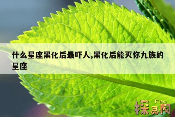 什么星座黑化后最吓人,黑化后能灭你九族的星座