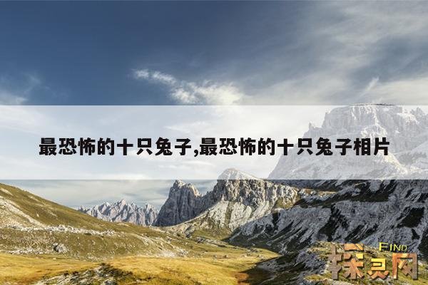 最恐怖的十只兔子,最恐怖的十只兔子相片