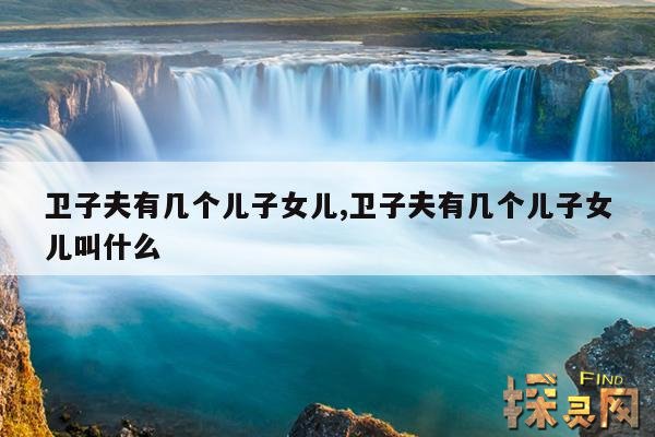 卫子夫有几个儿子女儿,卫子夫有几个儿子女儿叫什么