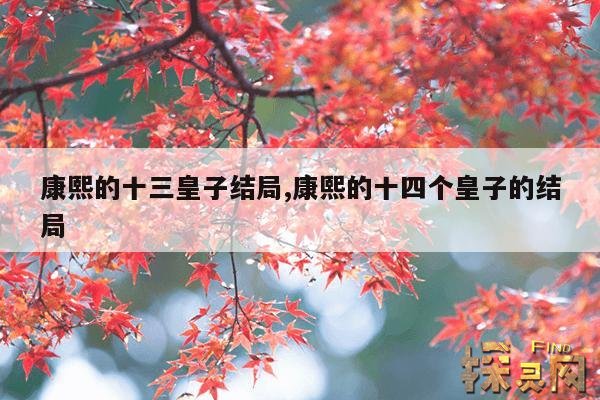 康熙的十三皇子结局,康熙的十四个皇子的结局