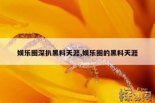 娱乐圈深扒黑料天涯,娱乐圈的黑料天涯