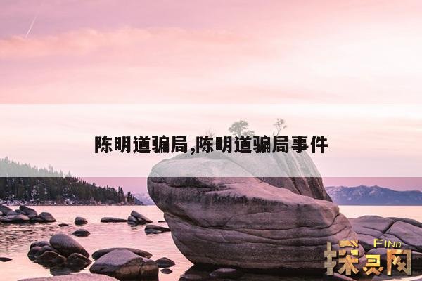 陈明道骗局,陈明道骗局事件