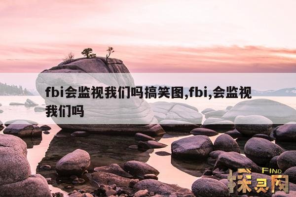 fbi会监视我们吗搞笑图,fbi,会监视我们吗