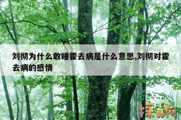 刘彻为什么敢睡霍去病是什么意思,刘彻对霍去病的感情