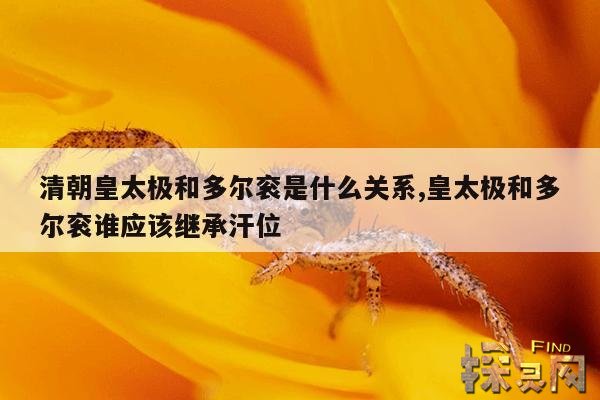 清朝皇太极和多尔衮是什么关系,皇太极和多尔衮谁应该继承汗位