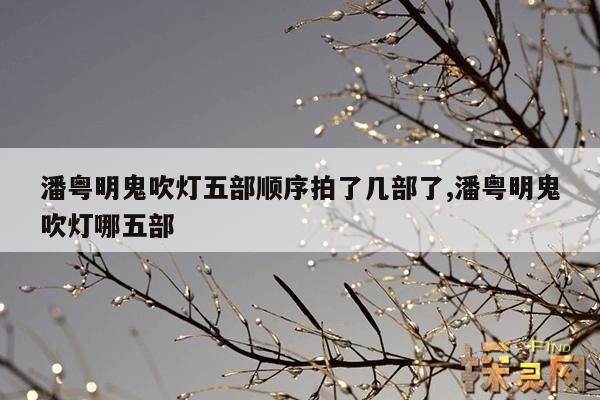 潘粤明鬼吹灯五部顺序拍了几部了,潘粤明鬼吹灯哪五部