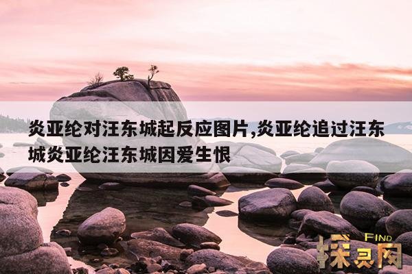 炎亚纶对汪东城起反应图片,炎亚纶追过汪东城炎亚纶汪东城因爱生恨