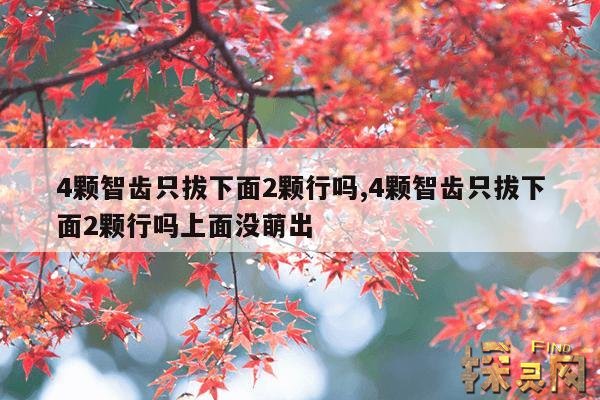 4颗智齿只拔下面2颗行吗,4颗智齿只拔下面2颗行吗上面没萌出