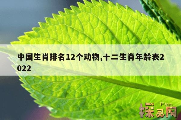 中国生肖排名12个动物,十二生肖年龄表2022