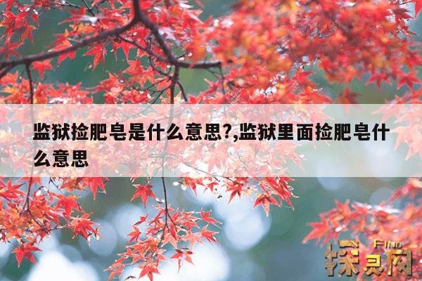 监狱捡肥皂是什么意思?,在监狱里面捡肥皂是什么意思