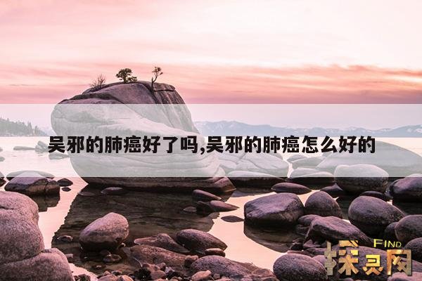 吴邪的肺癌好了吗?,吴邪的肺癌最后治好了吗?