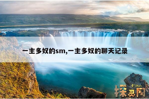 一主多奴的sm,一主多奴的聊天记录