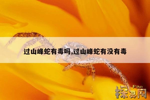 过山峰蛇有毒吗,过山峰蛇有没有毒