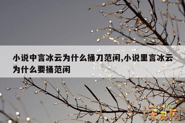 小说中言冰云为什么捅刀范闲,小说里言冰云为什么要捅范闲