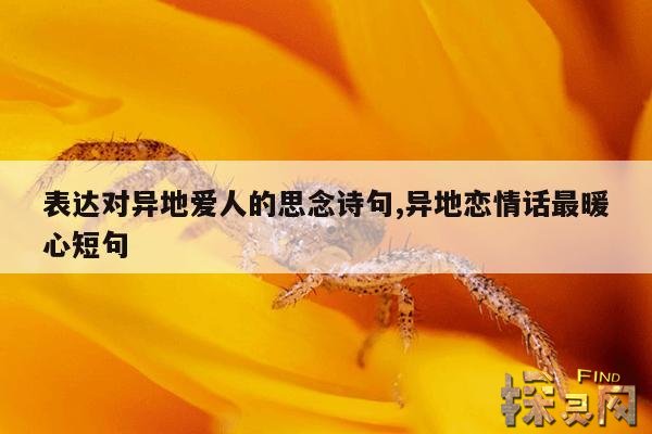 表达对异地爱人的思念诗句,异地恋情话最暖心短句