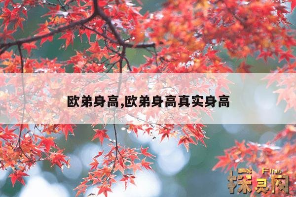 欧弟身高,欧弟身高真实身高