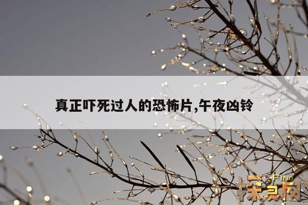 真正吓死过人的恐怖片,午夜凶铃