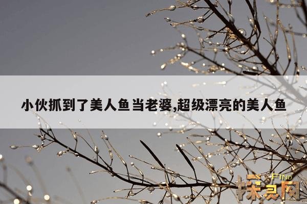 小伙抓到了美人鱼当老婆,超级漂亮的美人鱼