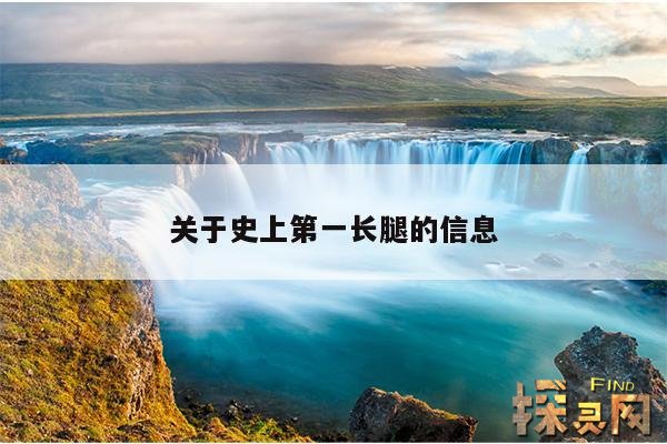 关于史上第一长腿的信息