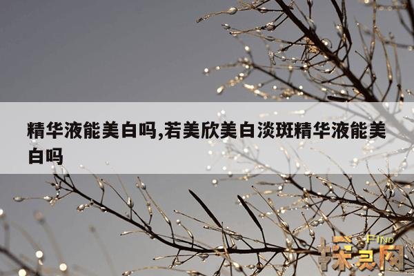 精华液能美白吗?,迪悦朵美白精华液能美白吗?