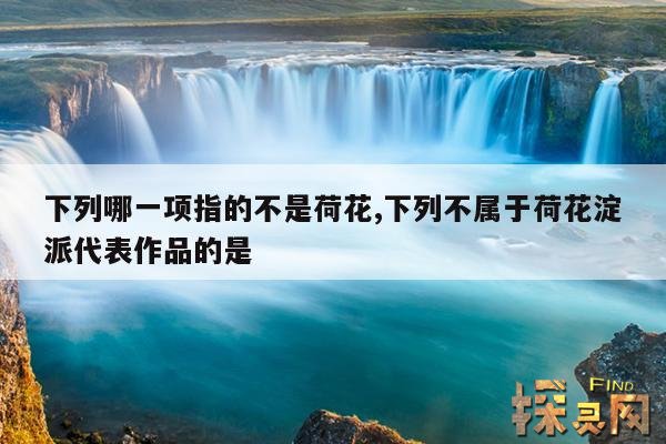 下列哪一项指的不是荷花,以下哪一项指的不是荷花