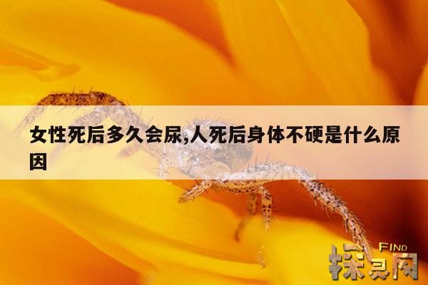 女性死后多久会尿,人死后身体不硬是什么原因