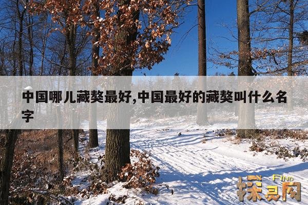 中国哪儿藏獒最好,中国最好的藏獒叫什么名字