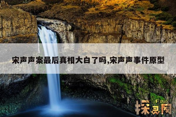 宋声声案最后真相大白了吗,宋声声事件原型