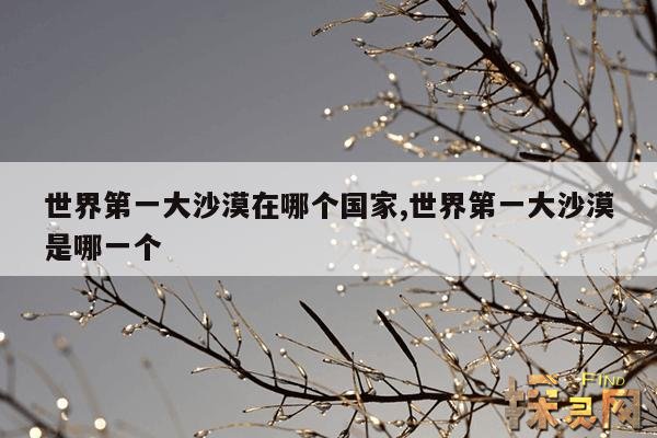 世界第一大沙漠在哪个国家,世界第一大沙漠是哪一个