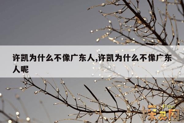 许凯为什么不像广东人,许凯为什么不像广东人呢