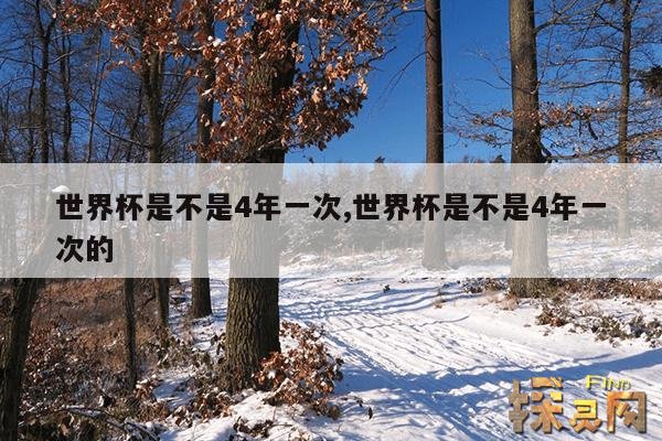 世界杯是不是4年一次,世界杯是不是4年一次的