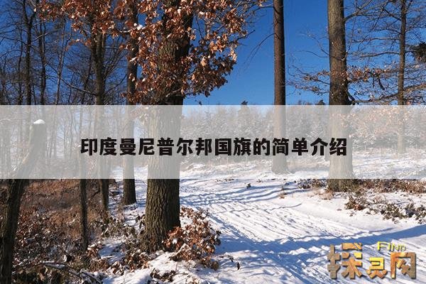 印度曼尼普尔邦国旗的简单介绍