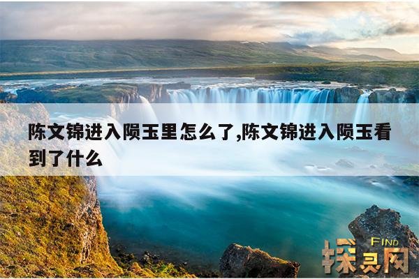 陈文锦进入陨玉里怎么了,陈文锦进入陨玉看到了什么